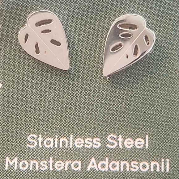 Stainless Steel earrings - Picture 1 of 3